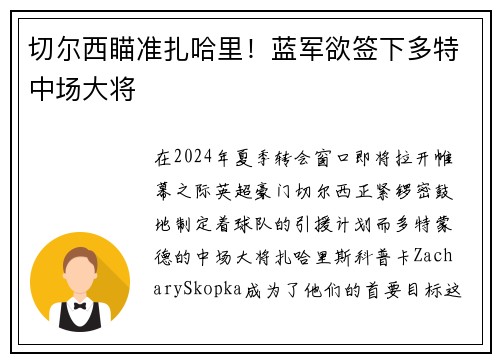 切尔西瞄准扎哈里！蓝军欲签下多特中场大将