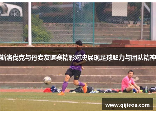斯洛伐克与丹麦友谊赛精彩对决展现足球魅力与团队精神